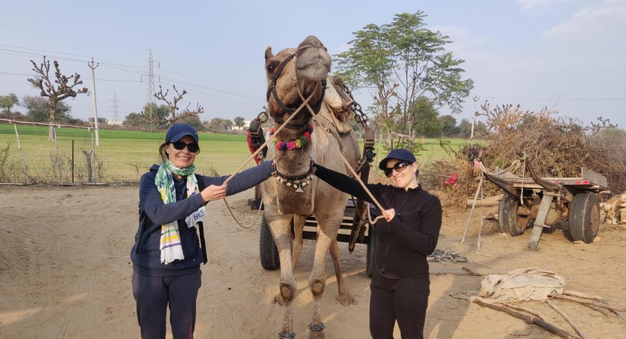 Tourist Nawalgarh